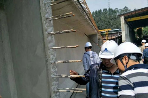  清溪镇鹿鸣路延长线